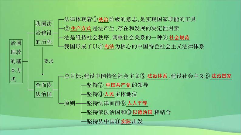 新高考政治一轮总复习课件全面依法治国第7课治国理政的基本方式(含解析)07