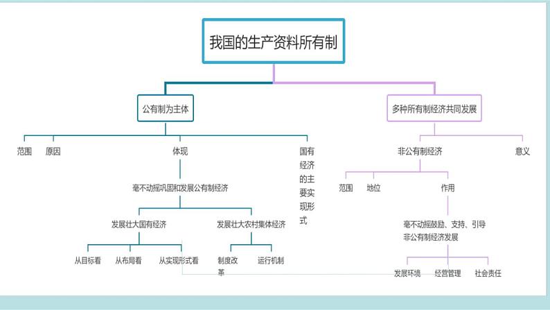 新高考政治二轮复习分层练习课件专题03生产资料所有制与经济体制(含解析)第7页