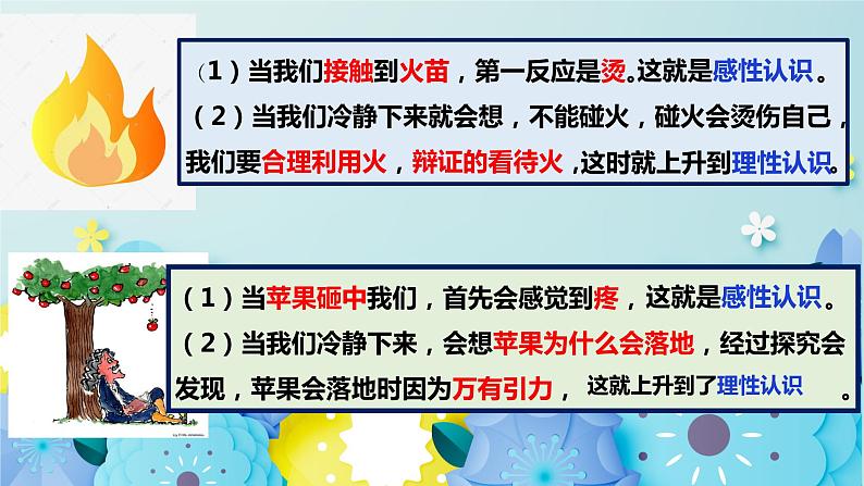 1.1思维的含义及其特征高二政治同步备课精品课件(统编版选择性必修3)08