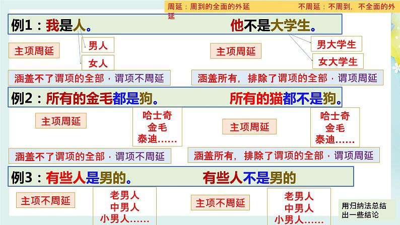 6.2简单判断的演绎推理方法高二政治同步备课精品课件(统编版选择性必修3)07