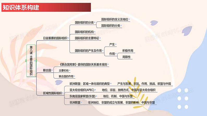 第八课 主要的国际组织-2024年高考政治一轮复习课件(统编版选择性必修1、2、3)第3页