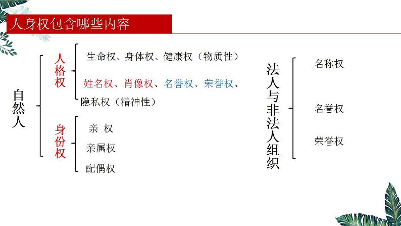1.2 积极维护人身权利 课件-2023-2024学年高中政治统编版选择性必修二法律与生活 (1)第3页