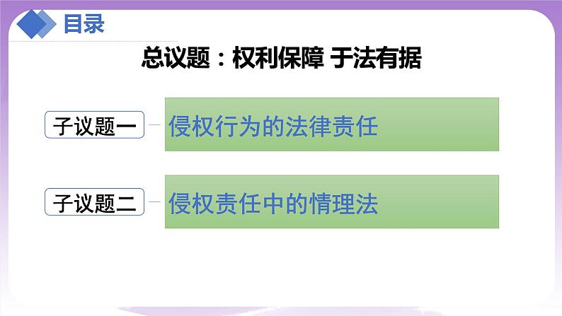【核心素养】4.1《权利保障于法有据》课件第4页