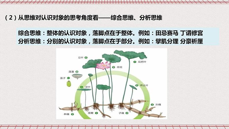 统编版高中政治选修三 1.2《思维形态及其特征》课件第4页