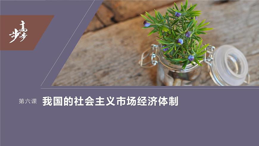 2024年高考政治一輪復(fù)習(xí)課件（部編版） 必修2　第06課　課時(shí)2　更好發(fā)揮政府作用第3頁(yè)