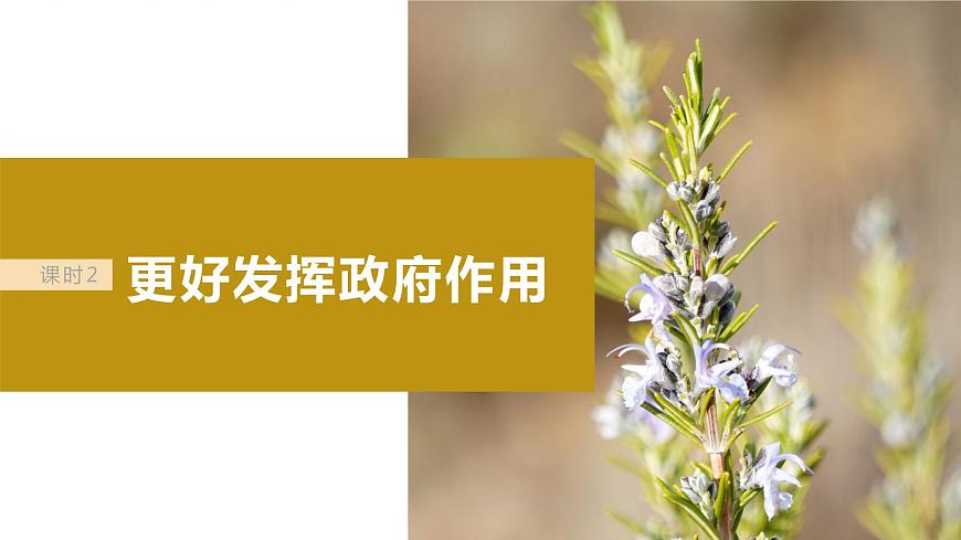 2024年高考政治一輪復(fù)習(xí)課件（部編版） 必修2　第06課　課時(shí)2　更好發(fā)揮政府作用第4頁(yè)