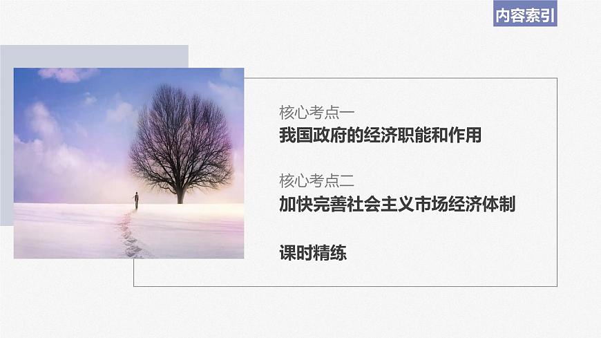 2024年高考政治一輪復(fù)習(xí)課件（部編版） 必修2　第06課　課時(shí)2　更好發(fā)揮政府作用第5頁(yè)