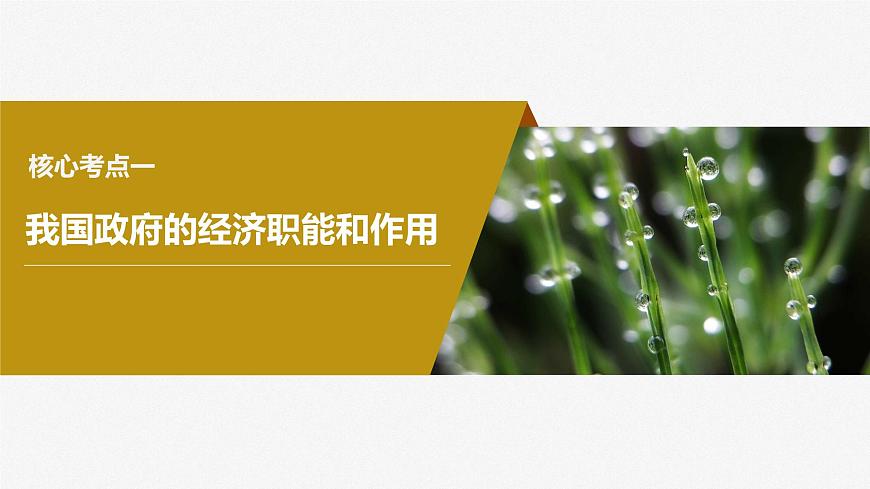2024年高考政治一輪復(fù)習(xí)課件（部編版） 必修2　第06課　課時(shí)2　更好發(fā)揮政府作用第6頁(yè)
