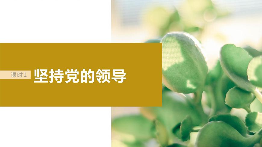 2024年高考政治一輪復習課件（部編版） 必修3　第11課　課時1　堅持黨的領導第7頁