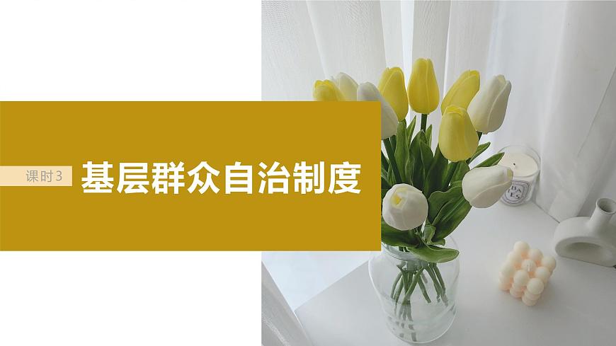 2024年高考政治一輪復(fù)習(xí)課件（部編版） 必修3　第14課　課時(shí)3　基層群眾自治制度第4頁