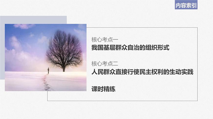 2024年高考政治一輪復(fù)習(xí)課件（部編版） 必修3　第14課　課時(shí)3　基層群眾自治制度第5頁