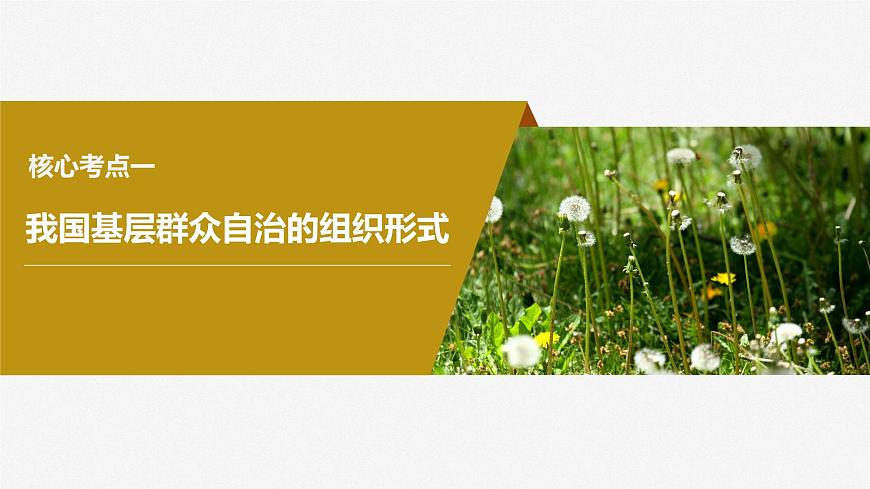 2024年高考政治一輪復(fù)習(xí)課件（部編版） 必修3　第14課　課時(shí)3　基層群眾自治制度第6頁