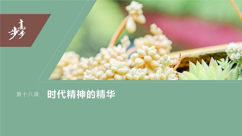2024年高考政治一轮复习课件(部编版) 必修4 第18课 时代精神的精华第3页