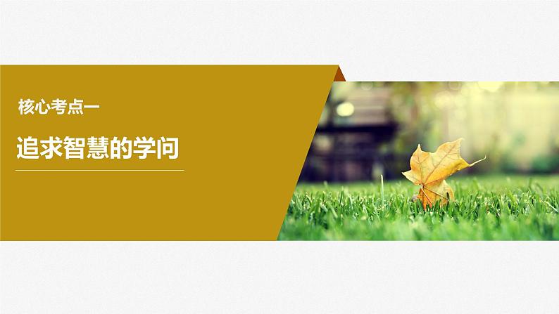 2024年高考政治一轮复习课件(部编版) 必修4 第18课 时代精神的精华第8页