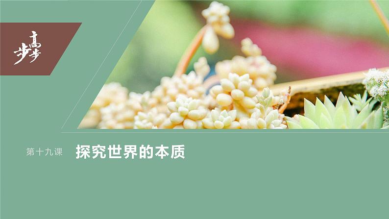 2024年高考政治一轮复习课件(部编版) 必修4 第19课 课时2 正确发挥主观能动性与1切从实际出发第3页