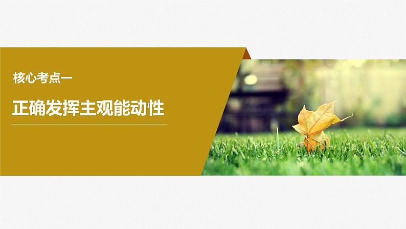 2024年高考政治一轮复习课件(部编版) 必修4 第19课 课时2 正确发挥主观能动性与1切从实际出发第6页