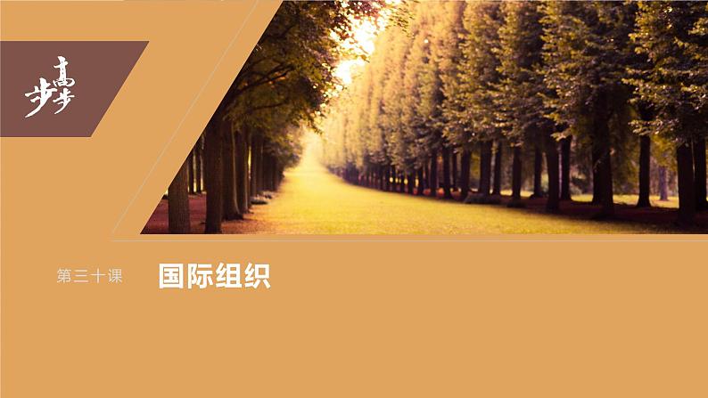 2024年高考政治一轮复习课件(部编版) 选择性必修1 第30课 课时2 区域性国际组织和新兴国际组织03