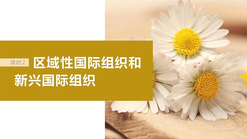 2024年高考政治一轮复习课件(部编版) 选择性必修1 第30课 课时2 区域性国际组织和新兴国际组织04