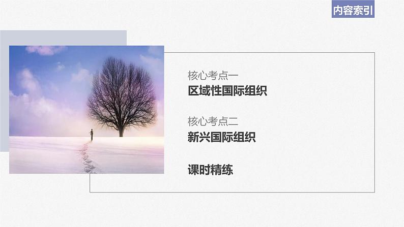 2024年高考政治一轮复习课件(部编版) 选择性必修1 第30课 课时2 区域性国际组织和新兴国际组织05