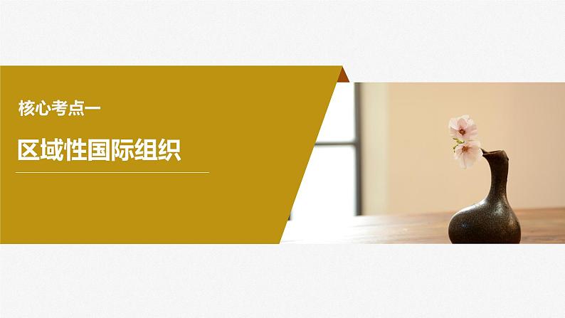 2024年高考政治一轮复习课件(部编版) 选择性必修1 第30课 课时2 区域性国际组织和新兴国际组织06
