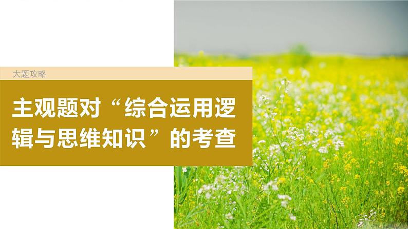 2024年高考政治一轮复习课件(部编版) 选择性必修3 大题攻略 主观题对“综合运用逻辑与思维知识”的考查04