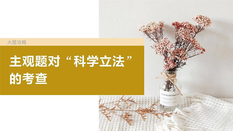 2024年高考政治一轮复习课件(部编版) 必修3 大题攻略 主观题对“科学立法”的考查第4页