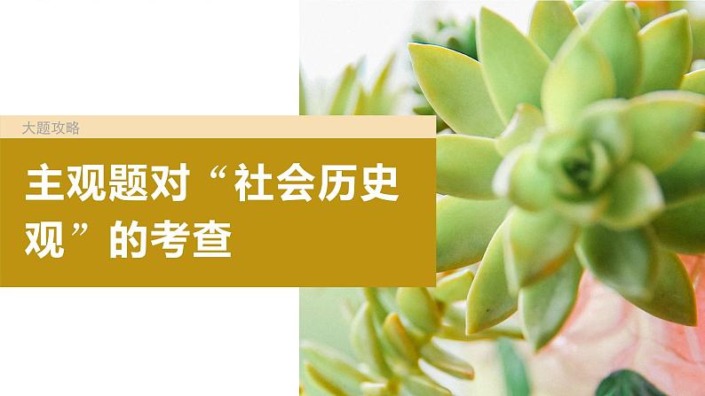 2024年高考政治一轮复习课件(部编版) 必修4 大题攻略 主观题对“社会历史观”的考查04