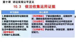 10.3依法收集运用证据 课件