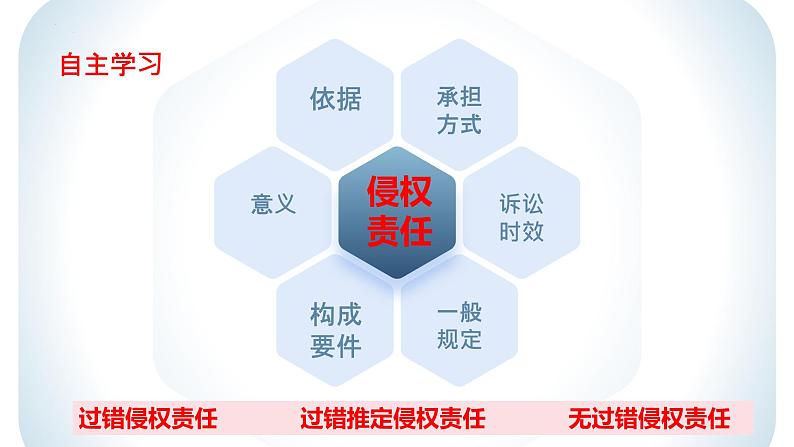 4.1 权利保障 于法有据 课件 - 高中政治统编版选择性必修二法律与生活第2页