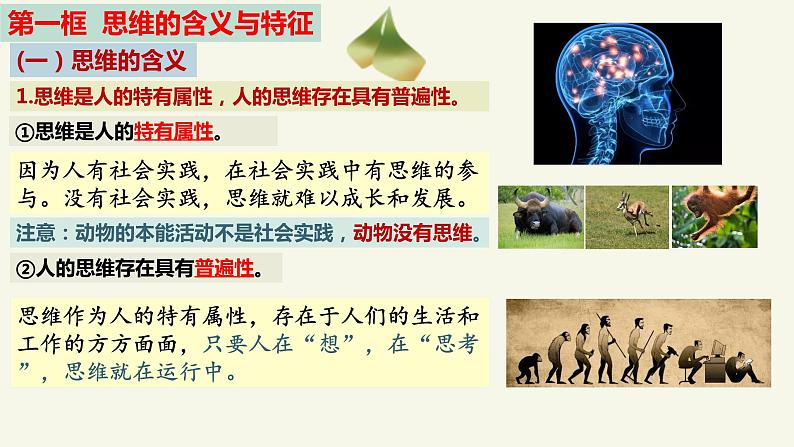 第一课 走进思维世界 课件-2024届高考政治一轮复习统编版选择性必修三逻辑与思维06
