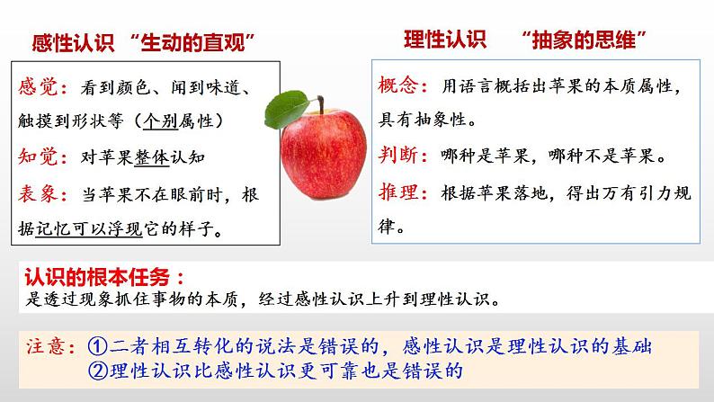 4.1人的认识从何而来 课件-2023-2024学年高中政治统编版必修四哲学与文化07
