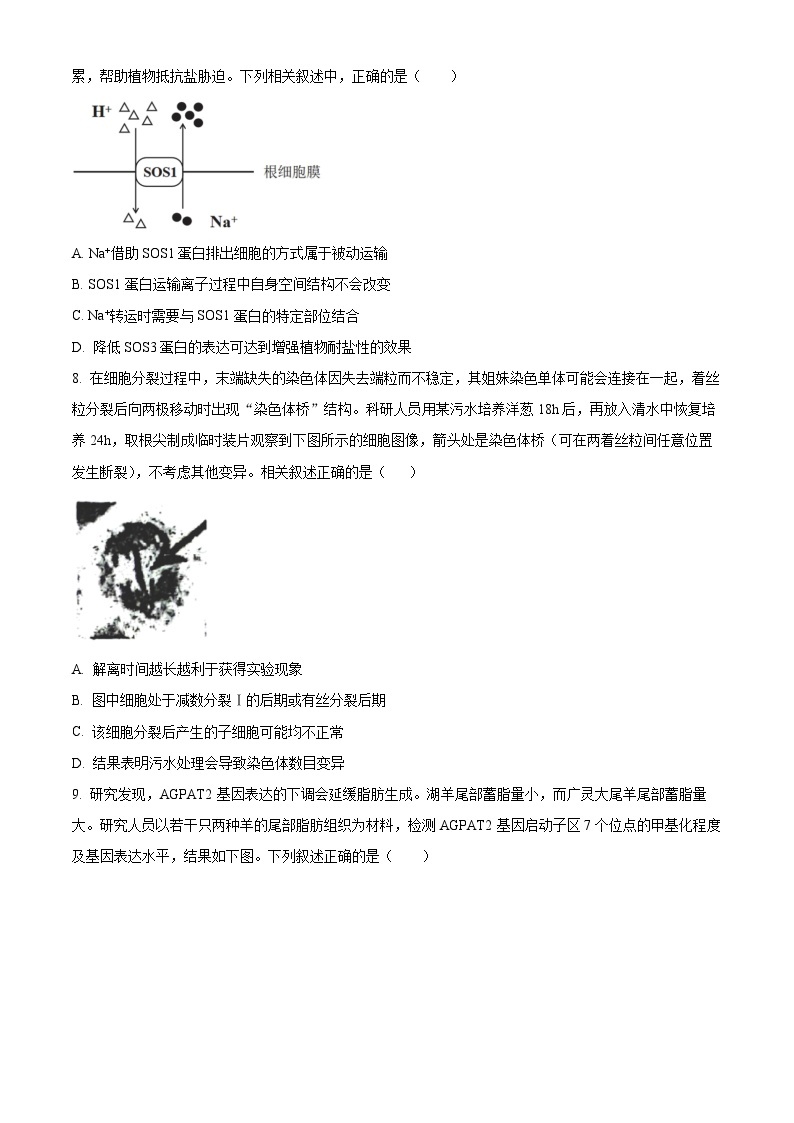 福建师范大学附属中学2023-2024学年高三上学期期末考试政治试卷（Word版附解析）03