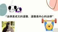高中订立合同学问大课文配套ppt课件