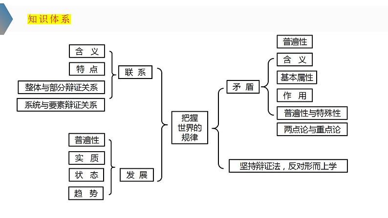 3.1 世界是普遍联系的 课件-2024届高考政治一轮复习统编版必修四哲学与文化第5页