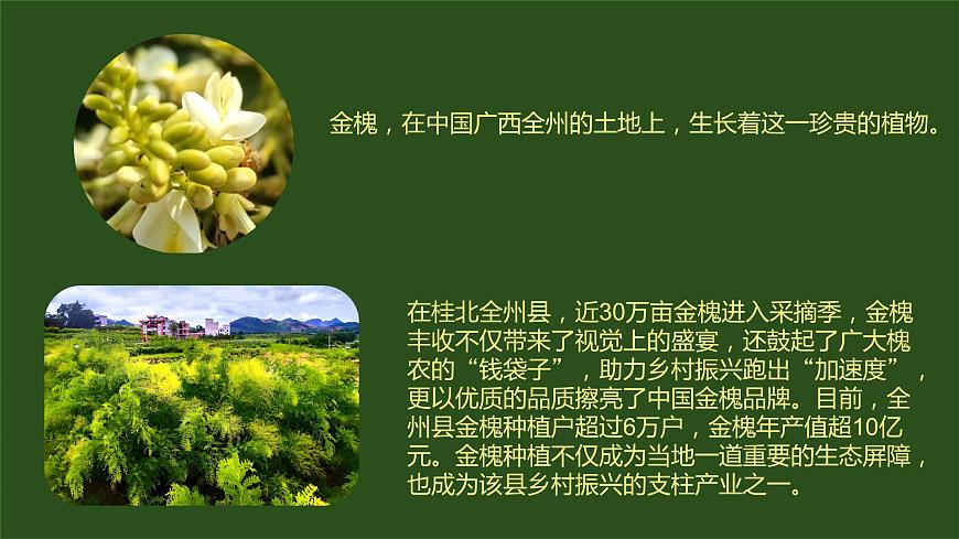 3.2推動(dòng)高質(zhì)量發(fā)展 課件-2023-2024學(xué)年高中政治統(tǒng)編版必修二經(jīng)濟(jì)與社會(huì)第2頁(yè)
