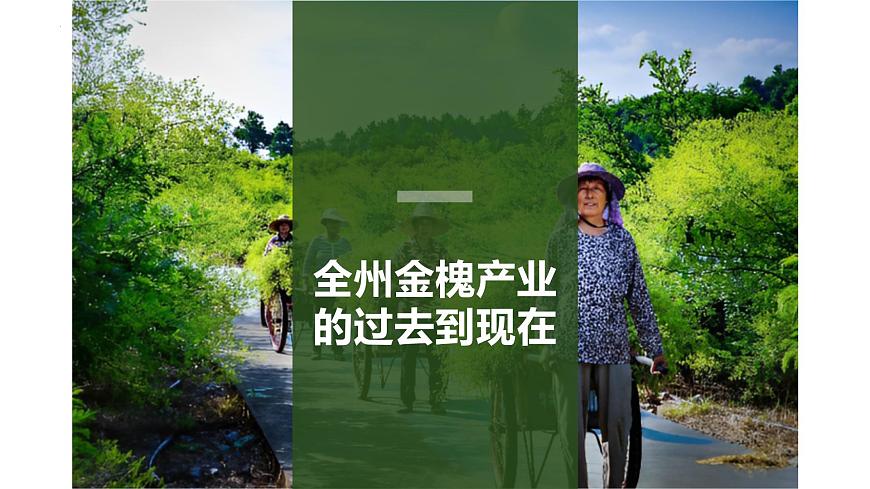 3.2推動(dòng)高質(zhì)量發(fā)展 課件-2023-2024學(xué)年高中政治統(tǒng)編版必修二經(jīng)濟(jì)與社會(huì)第5頁(yè)