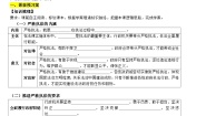 高中政治 (道德与法治)人教统编版必修3 政治与法治严格执法第2课时学案设计