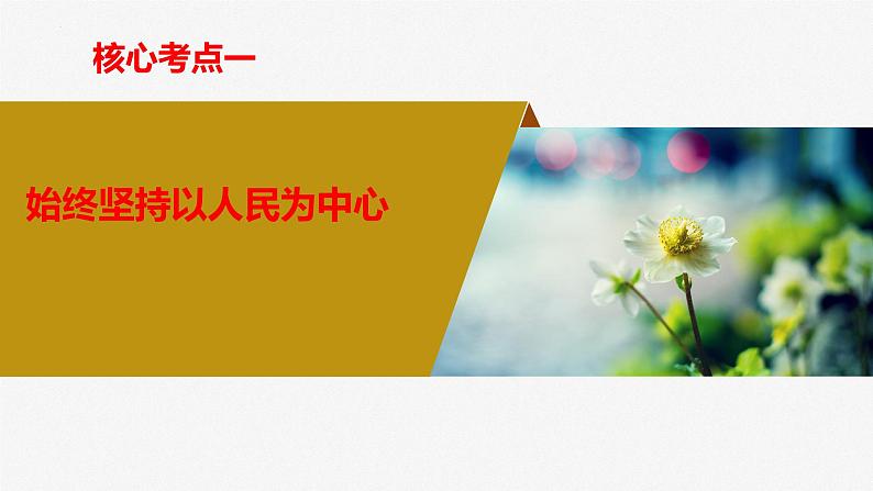 第二课 中国共产党的先进性(最新版)2024年高考政治一轮复习课件(统编版)第7页