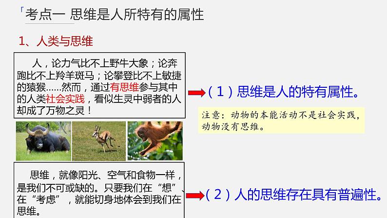 第一课 走进思维世界课件-2024届高考政治一轮复习统编版选择性必修三逻辑与思维第4页