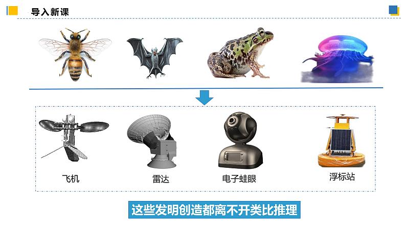 7.2类比推理及其方法(课件)-2023-2024学年高二政治(统编版选择性必修3)第3页