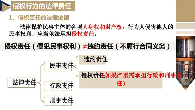 4.1权利保障 于法有据 课件-2023-2024学年高中政治统编版选择性必修二法律与生活第3页