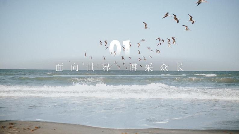 人教版高中必修四8.3《正确对待外来文化》课件(教案)第5页