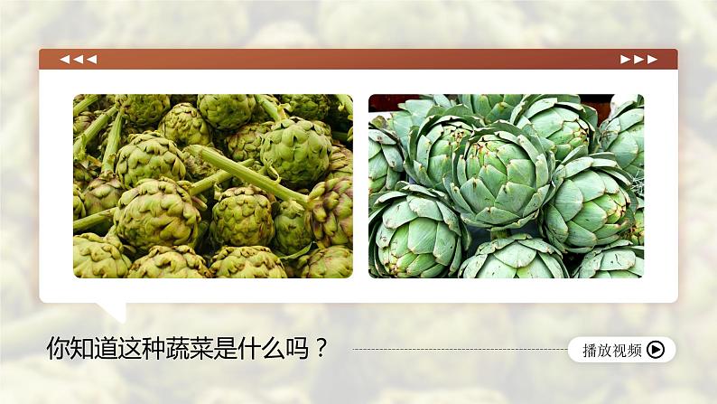 人教版高中必修四8.2《文化交流与文化交融》课件(教案)05