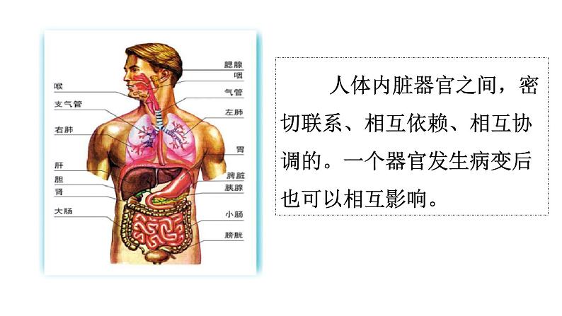 3.1世界是普遍联系的 课件-2023-2024学年高中政治统编版必修四哲学与文化06