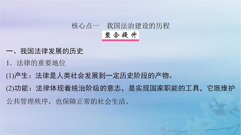 2025届高考政治一轮总复习必修3第三单元全面依法治国第七课治国理政的基本方式课件第6页