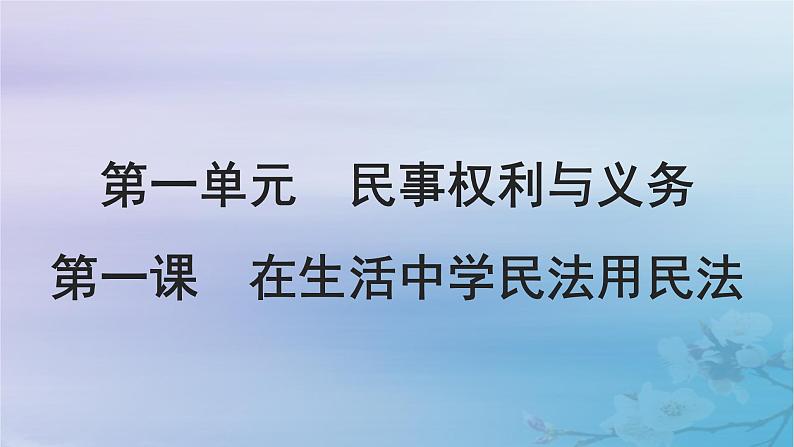 2025届高考政治一轮总复习选择性必修2第一单元民事权利与义务第一课在生活中学民法用民法课件02