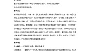 政治 (道德与法治)人教统编版弘扬中华优秀传统文化与民族精神教案设计