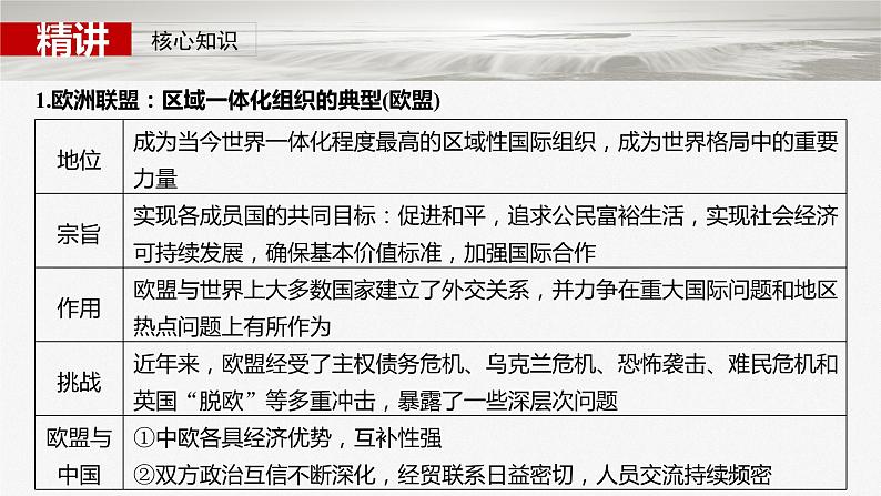 选择性必修1 第二十九课 课时2 区域性国际组织和新兴国际组织-2025年高考政治一轮复习课件05