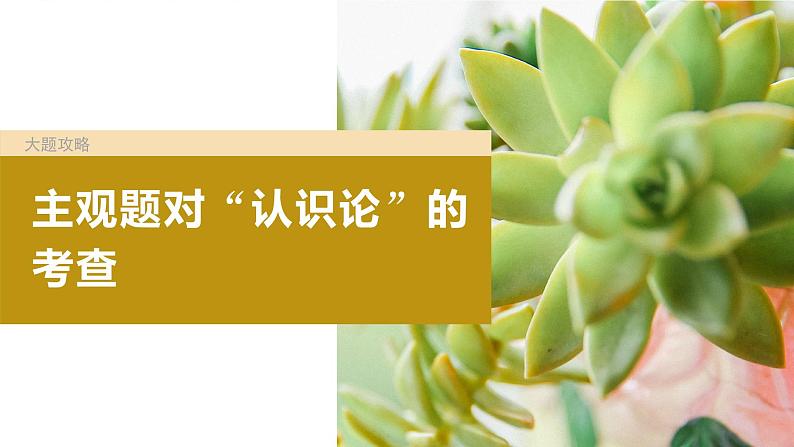 2025年高考政治一轮复习(部编版) 必修4 大题攻略 主观题对“认识论”的考查课件PPT第2页