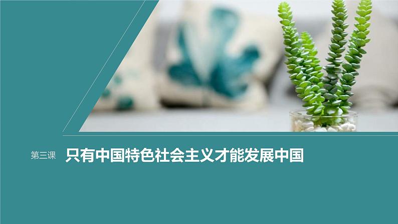 新高考政治一轮复习讲义课件必修1第3课只有中国特色社会主义才能发展中国(含解析)第1页